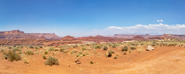 Fototapeta na wymiar Canyonlands Panorama