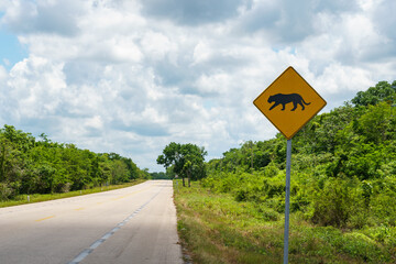 Jaguar crossing sign along an empty highway in the Yucatan © Zach