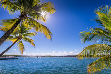 Naklejka na ściany i meble Idyllic Porto Seguro Beach at sunny day with palm trees in BAHIA, Brazil