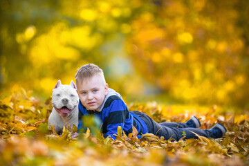 Boy and American bully puppy are lying in embrace on ground covered with golden fallen leaves, walk in beautiful autumn park, front view, blurred background. Dogs are most loyal friends of human.