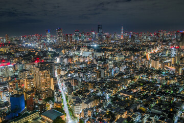 恵比寿ガーデンプレイス展望台からの東京の夜景