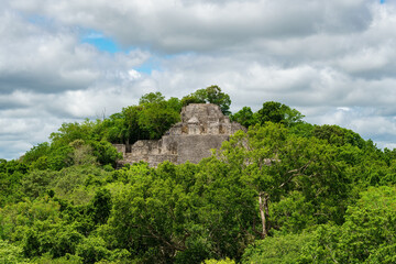 Calakmul ancient Mayan temple ruins rising above the trees