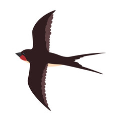 Colorful flying swallows flat illustration. Cartoon birds flock isolated vector illustration. Wildlife and fauna concept
