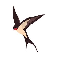Colorful flying swallows flat illustration. Cartoon birds flock in fight isolated vector illustration. Wildlife and fauna concept