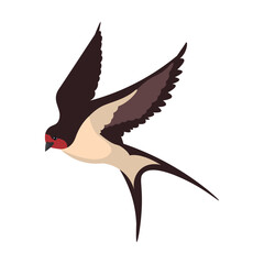Colorful flying swallows flat illustration. Cartoon birds flock in fight with different poses isolated vector illustration. Wildlife and fauna