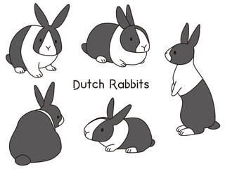 ダッチウサギの5つのポーズセット