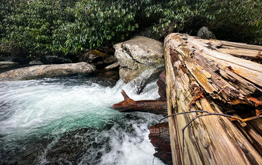 River in the Great Smoky Mountains