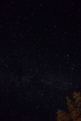 Starry Night Sky in Summer