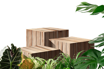 Wooden table top product display podium with nature green leaves ornamental plants, Isolated on...