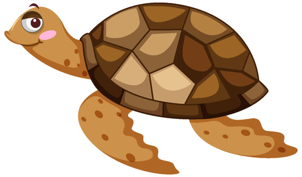 Brown turtle in cartoon character