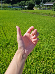 
A woman's hand as if holding a cellphone.