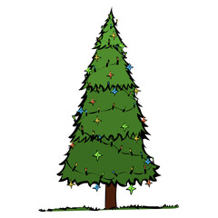 Weihnachtsbaum