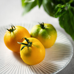 Three yellow tomatoes on a plate with green basil leaves, square format