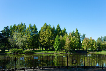 Park pond