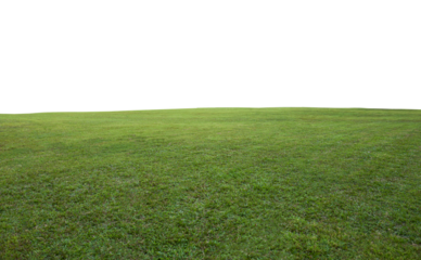 Green grass field background
