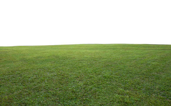 Green grass field background © jamesteohart