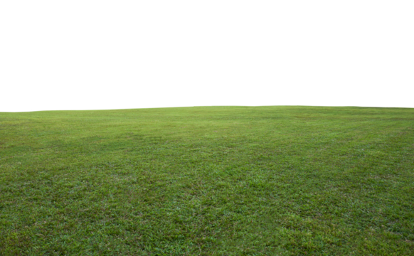 Green grass field background