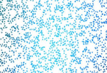 Light BLUE vector backdrop with dots.