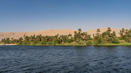 Fototapeta na wymiar Thickets of green palm trees and bushes are visible on the banks of the Nile. A sand dune against a clear sky. Ripples on the blue water of the river. Egypt