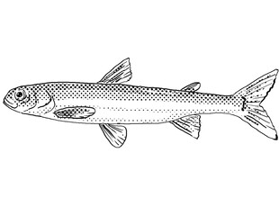 Cartoon style line drawing of a pygmy smelt or Osmerus spectrum  a freshwater fish endemic to North America with halftone dots shading on isolated background in black and white.