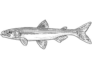 Cartoon style line drawing of a rainbow smelt or Osmerus mordax a freshwater fish endemic to North America with halftone dots shading on isolated background in black and white.