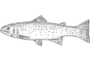 Cartoon style line drawing of a rainbow trout Oncorhynchus mykiss or steelhead a freshwater fish endemic to North America with halftone dots shading on isolated background in black and white.