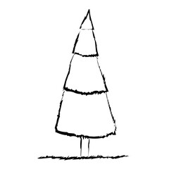 Tannenbaum