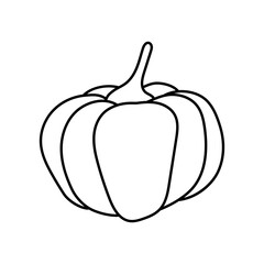 Pumpkin in the style of line art on a white background