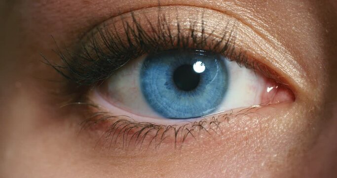 Woman face, blue eyes and vision focus, eyeball and contact lenses to see, eyesight and awareness. Closeup portrait face macro cosmetics lashes, optometry test and awake perception of human anatomy