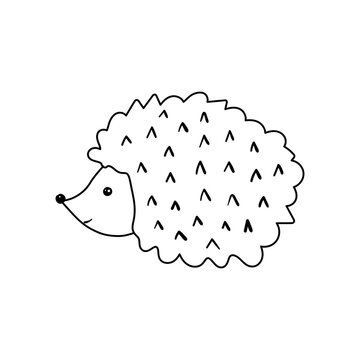 recommend clip art: Cute hedgehog in the style of line art