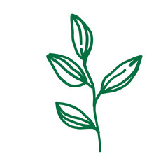 Hand Drawn Floral Leaf Shape