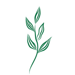 Hand Drawn Floral Leaf Shape