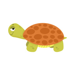 Cute turtle in cartoon style isolated on white background