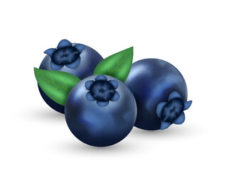 Realistic blueberry 3d. Fresh blueberry with green leafs. Bilberry icons. Design element for sweets