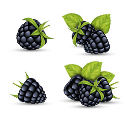 Set of realistic blackberry. Fresh tasty black berries, cooking ingredient. 3d healthy natural food