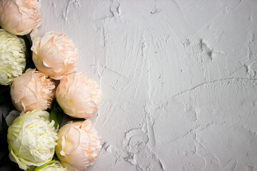 Pink roses over the white background with copy space. 