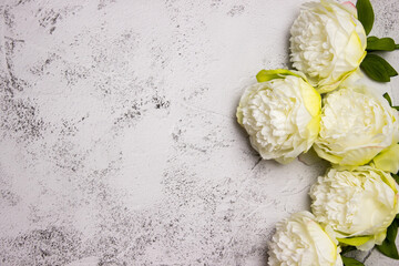 White roses over the white grey wall with copy space. 