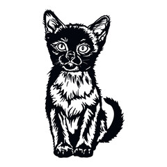 Burma cat, Cute Kitten - Funny Cat isolated on white - vector stock