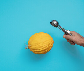 Yellow honey melon and male hand with ice cream spoon on blue background