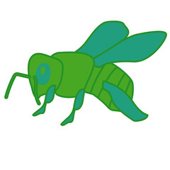 Honey bee illustration