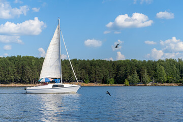 Obraz premium Pleasure yacht with white sails against the blue sky and water.