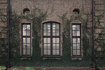 Vintage window and wall 