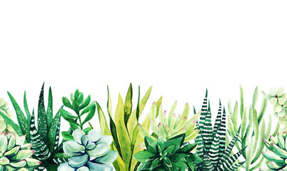 Seamless border composed of succulent plants, hand drawn © nurofina