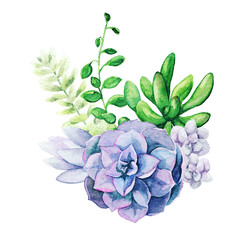 Obraz premium Bright watercolor succulent plants bouquet, arrangement, hand drawn