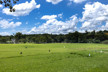 Fototapeta na wymiar Beautiful countryside landscape view at the Philippines 