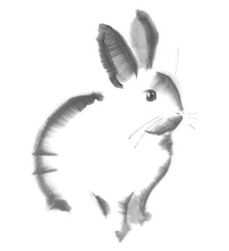 横向きのうさぎ の画像 4 件の Stock 写真 ベクターおよびビデオ Adobe Stock