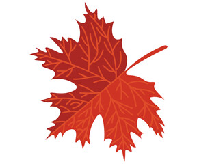 nature, season, autumn, colorful leaves