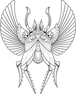 recommend clip art: scarab beetle illustration with egyptian style drawing