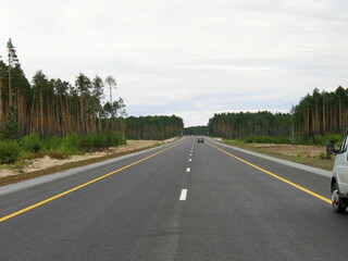 a new asphalt road passes through a pine forest