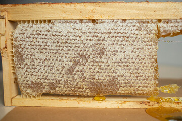 honeycombs close-up. Natural sweets, the benefits of honey, the treatment of angina and orvi